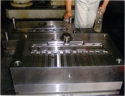 一胜佰优质塑胶模具